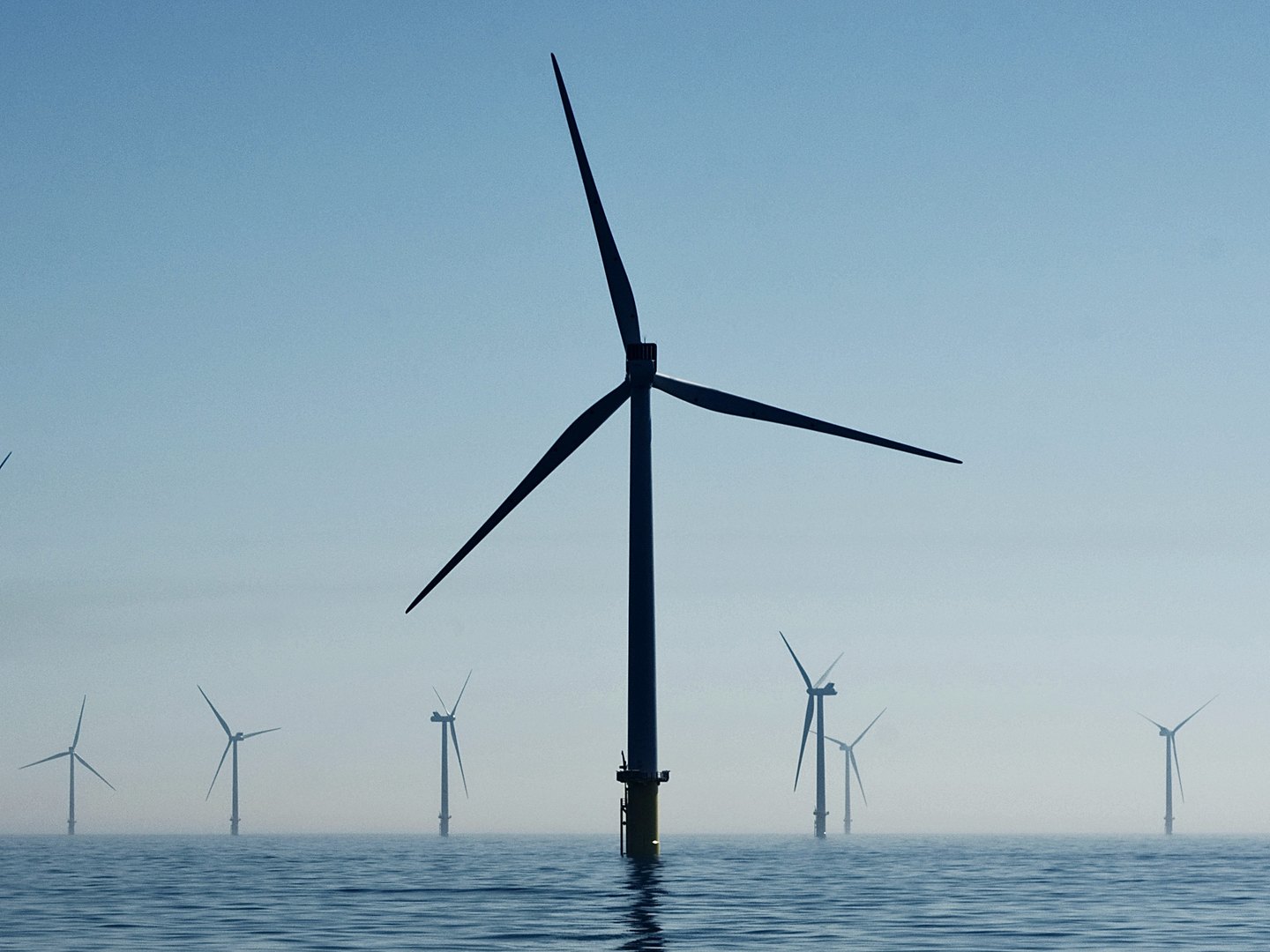 An offshore wind farm, with one turbine in front of a row of others